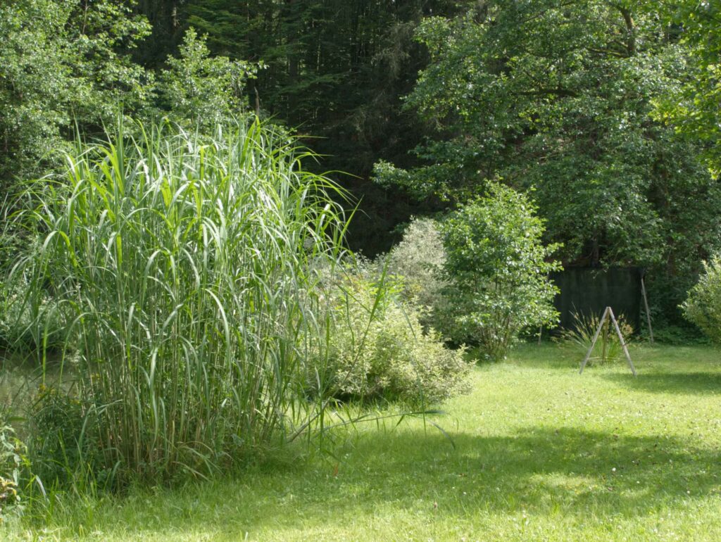 Wiese zum Bogenschiessen